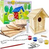 Hapinest Wooden Bird Houses to Paint and Build, Birdhouse Kit for Kids, Wood Painting Building Projects Fun Activities Arts and Crafts for Kids Ages 6-8 Girls Boys, DIY Bird House Kit 5-12 Years & Up