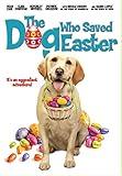 The Dog Who Saved Easter - DVD