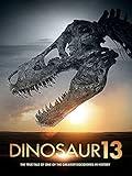 Dinosaur 13
