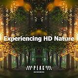 New Experience