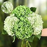Waipfaru 4Pcs Real Touch Hydrangea Artificial Flowers, Fake Hydrangea Flowers, 21" Latex Faux Hydrangea Flowers for Wedding Bouquet Home Decor Centerpieces (2 Light Green & 2 Dark Green)