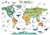 DECOWALL SG2-2423 Animal World Wall Decal Stickers Large Kids Removable for Nursery Bedroom Living Room Art Mural Decoration Playroom Home Boy