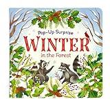 Winter In The Forest Deluxe Lift-a-Flap & Pop-Up Seasons Children's Board Book (Lift-a-flap Surprise) (Pop-Up Surprise)