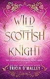 Wild Scottish Knight: A fun opposites attract magical romance (The Enchanted Highlands Book 1)