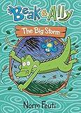 Beak & Ally #3: The Big Storm: A Graphic Novel