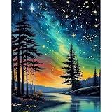 xackcme Starry Sky Paint by Numbers for Adults - Starry Night Paint by Number on Canvas Without Frame, DIY Abstract Landscape Oil Painting for Gift Home Wall Decor (16x20 inch)