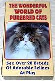 The Wonderful World of Purebred Cats (See Over 20 Breeds of Adorable Felines At Play)