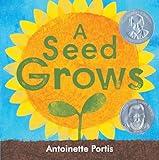 A Seed Grows