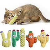 5 Pack Cactus Catnip Toys, 100% Pure Organic Catnip Filled Toys for Indoor Cats, Interactive Plush Chew Fun Without Cotton, Teething Soft Pet Toys for Kittens Kitty
