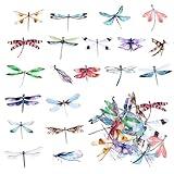 Gjinxi 40 Pcs Dragonfly Stickers PET Transparent Decorative Stickers Fly Bird Stickers Nature Decals Vintage Journaling Stickers Supplies for Scrapbook Notebook Water Bottle Cards Decoration