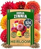 HOME GROWN Zinnia Dahlia Seeds Pack for 2025 – 524 𝗡𝗢𝗡-𝗚𝗠𝗢 𝗨𝗦𝗔 Flower Seeds | Vibrant Zinnia Elegans for Pollinator Gardens, Borders & Containers | Easy-to-Grow Outdoor Blooms