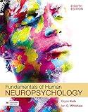 Fundamentals of Human Neuropsychology