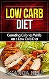Low Carb Diet: Counting Calories While on a Low Carb Diet (Low Carb Diet: A List of Low Carb Foods and Snacks to Help you Lose Weight Fast And Counting Calories)