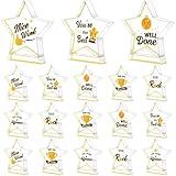 Treela 18 Pcs Employee Appreciation Awards Gifts Bulk Small Acrylic Trophies Mini Thank You Plaque Gifts for Recognition Adults Students Classroom Office Graduation Decorations(Star,Gold)