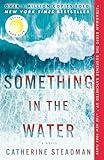 Something in the Water: Reese's Book Club: A Novel