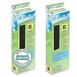 GermGuardian Filter B HEPA Pure Genuine Air Purifier Filter, Removes 99.97% of Pollutants, Wildfire Smoke, Odors, for AC4825, AC4300, AC4900, AC4880, AC4850, CDAP4500, 2-Pack, Black/Yellow, FLT48252PK