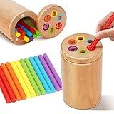 Montessori Toys for 1-3 Year Old, Travel Toys for Toddlers Activities Wooden Color Sorting Stacking Toy for 18+ Month Old Boys Girls Learning Gift for 2-4 Year Old Kids Christmas Birthday