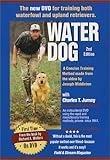 Water Dog