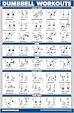 Palace Learning Dumbbell Workout Exercise Poster - Free Weight Body Building Guide | Home Gym Chart - LAMINATED, 18" x 24"