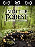 Into the Forest: Reptiles & Amphibians