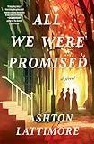 All We Were Promised: A Novel