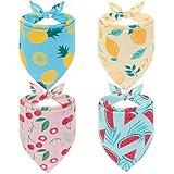 EXPAWLORER Dog Cooling Bandana Set - 4 Pack Hawaii Dog Bandana, Summer Triangle Scarfs Bibs with Cute Fruit Patterns for Small Medium Large Dogs, Large