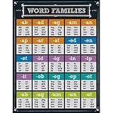 Carson Dellosa Word Families Chart, 17" x 22" Phonics Poster, Language Arts Reference Guide for ELA, Spelling, and Grammar Bulletin Board, Classroom Decor, and Teacher Supplies