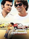 Snake And Mongoose
