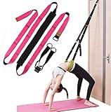 Xemz Back Bend Assist Trainer - Improve Back and Waist Flexibility, Door Flexibility Stretching Strap, Home Equipment for Ballet, Dance, Yoga, Gymnastics, Cheerleading, Splits (Rose)