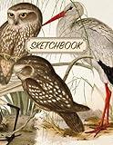 Bird Sketchbook: Aesthetic Doodles & Drawings Notebook | Vintage Wild Birds Illustrated Cover | Drawing Pad | Large Journal with Blank Pages for Drawing, Sketching, Journaling, and Doodling
