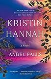 Angel Falls: A Novel