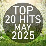 Top 20 Hits May 2025 (Instrumental)