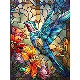 HITIRECOVI Paint by Numbers Kits for Adults,Hummingbird Paint by Numbers for Adults,Paint by Number Kits on Canvas,Home Wall Decor(16x20in)
