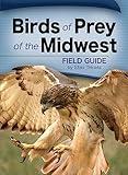 Birds of Prey of the Midwest Field Guide (Bird Identification Guides)