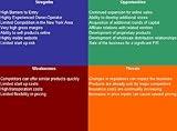 Multilevel Marketing Firm SWOT Analysis Plus Business Plan