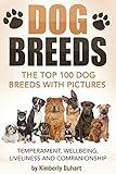 DOG BREEDS: The Top 100 Dog Breeds with Pictures – Temperament, Wellbeing, Liveliness and Companionship: How to select the perfect dog for your home (Dog Ownership Book 1)