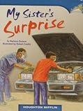 My Sister's Surprise (Realistic Fiction; Cause and Effect)