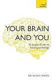 Your Brain and You: A Simple Guide to Neuropsychology (Teach Yourself)