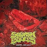 Interpersonal relations [Explicit]