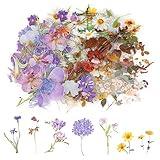 120 Pcs Transparent Flower Stickers for Scrapbooking PET Nature Plant Sticker Vintage Craft Floral Stickers Colorful Small Flower Sticker for Journaling Scrapbook Supplies for Adults Kids