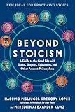 Beyond Stoicism: A Guide to the Good Life with Stoics, Skeptics, Epicureans, and Other Ancient Philosophers