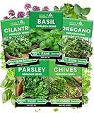 5 Herb Seeds Variety Kit, Oregano, Cilantro, Parsley, Basil, Chives