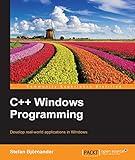 C++ Windows Programming