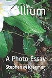 Trillium: A Photo Essay