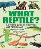 What Reptile?: A Buyer's Guide for Reptiles and Amphibians