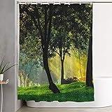 Staroden Shower Curtain with Hooks Scenery No in Sunbeams Area Between Trees Sunlight Growth Green Woodland Forest Park Nature Lit Waterproof Decorative Bathroom Cloth Fabric Set 72" x 78"
