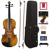 Cecilio Full Size 4/4 Violin with Hard Case & Shoulder Rest - Solidwood Ebony Fitted Violin with D'Addario Strings, Ideal for Beginners