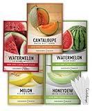 Gardeners Basics, Melon Fruit Seeds for Planting Home Garden 5 Variety Packs - Hales Best Cantaloupe, Crimson Sweet Watermelon, Yellow Canary Melon, Green Flesh Honeydew Melon, Sugar Baby Watermelon