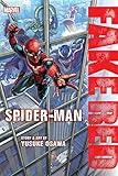 Spider-Man: Fake Red