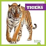 Tigers (Bullfrog Books: Big Cats)